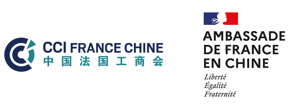 CCI FRANCE CHINE Future Charter Flight Interest Census | CCI France Chine